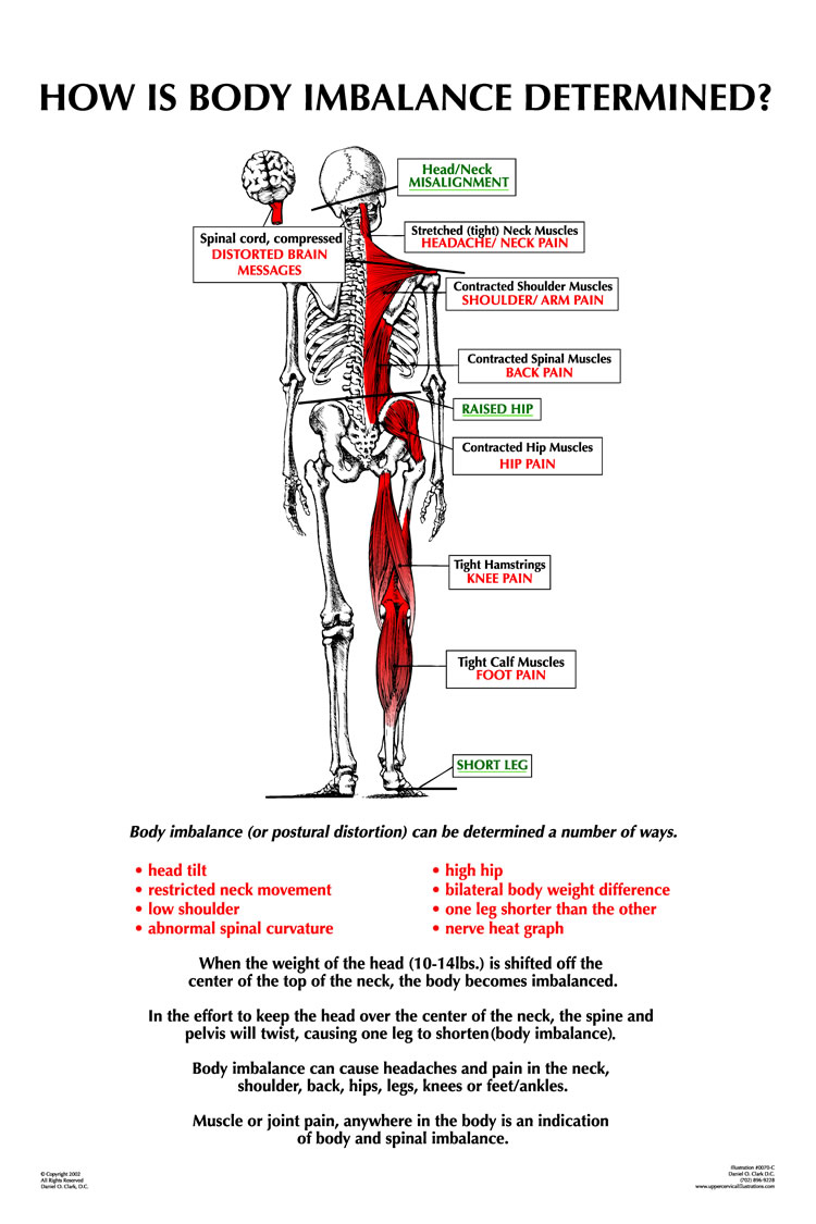 HOW IS BODY IMBALANCE DETERMINED?